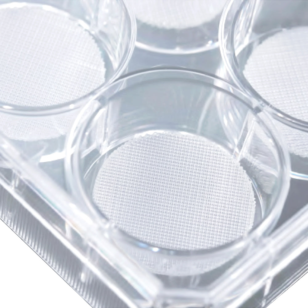 3D Tissue Culture Dishes, 6.0 cm, 3D Membrane diameter 51 mm, Total culture surface area 109 cm², TC-Treated, Sterile, 30piece(s)/case