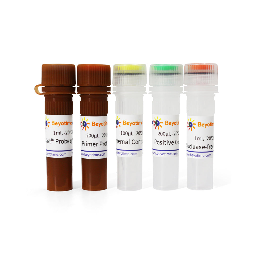 BeyoDirect™ Mycoplasma qPCR Detection Kit, 100T