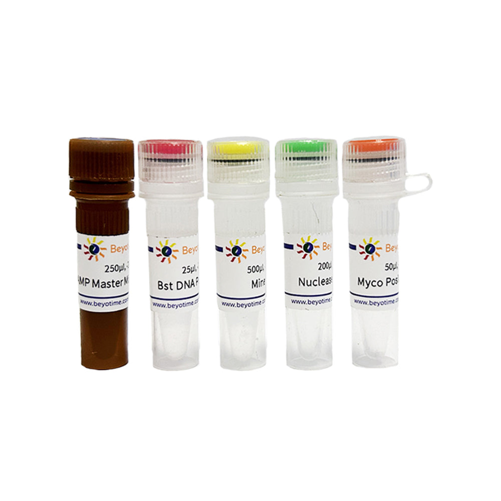 BeyoColor™ Mycoplasma Colorimetric LAMP Assay Kit, 25T