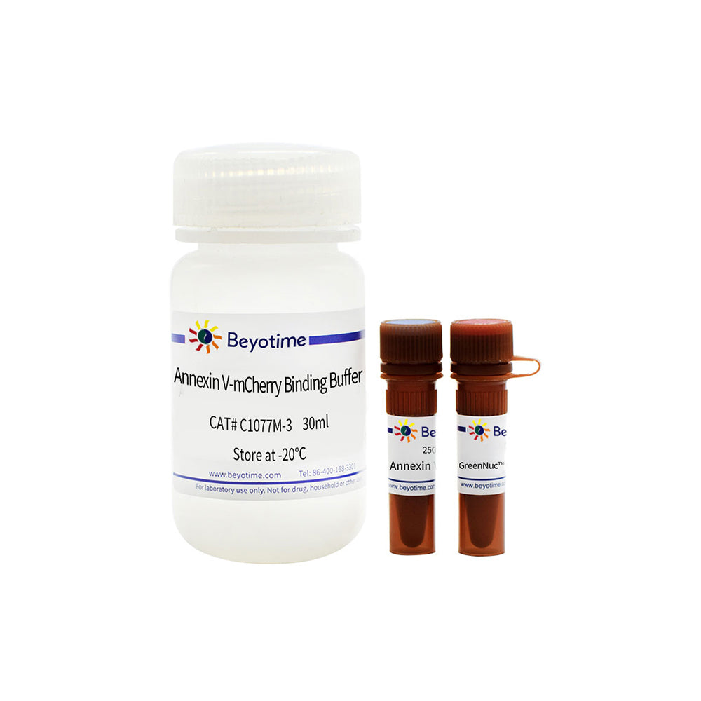 Kit de detección de actividad de caspasa-3 y apoptosis para células vivas, 50T