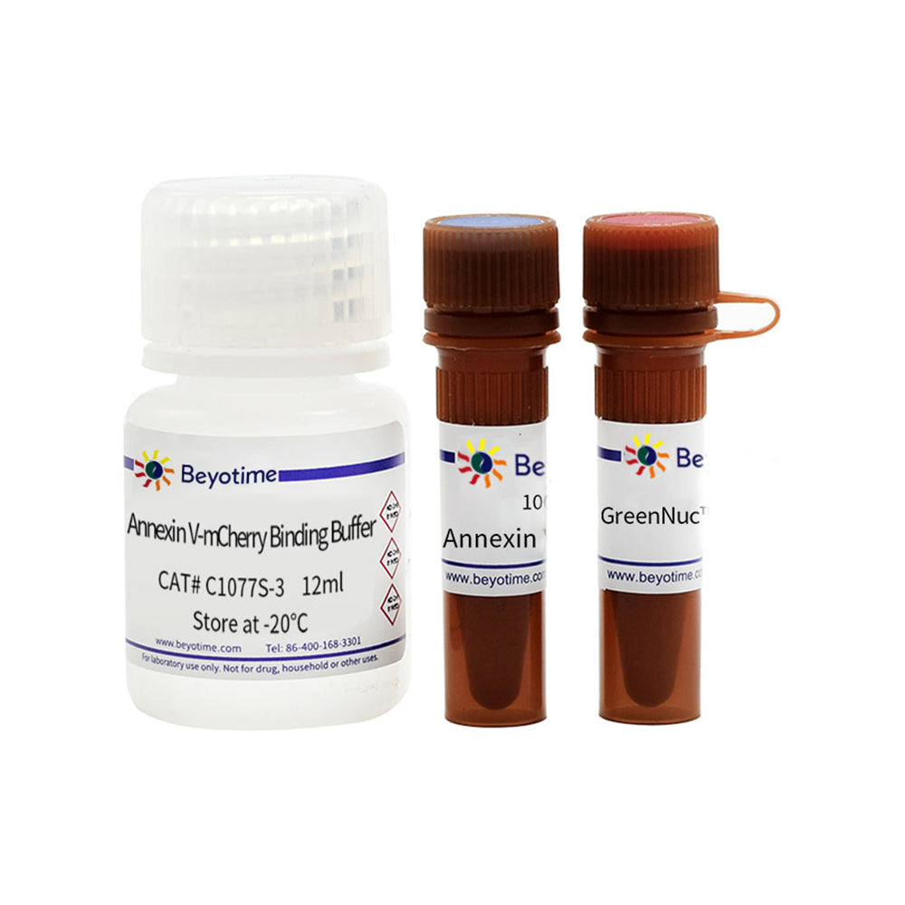 Kit de detección de actividad de caspasa-3 y apoptosis para células vivas, 20T