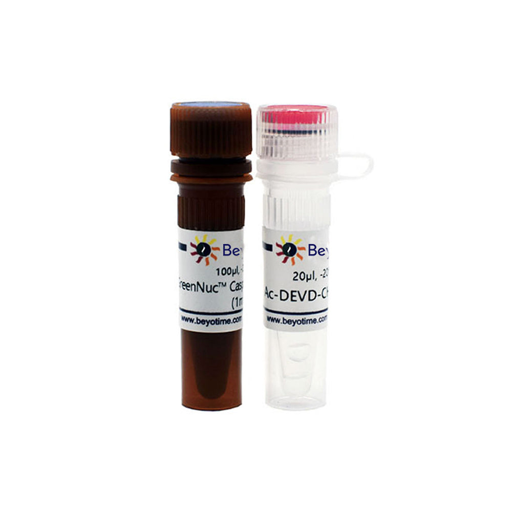 Kit de ensayo de caspasa-3 GreenNuc™ para células vivas, 100-200 T