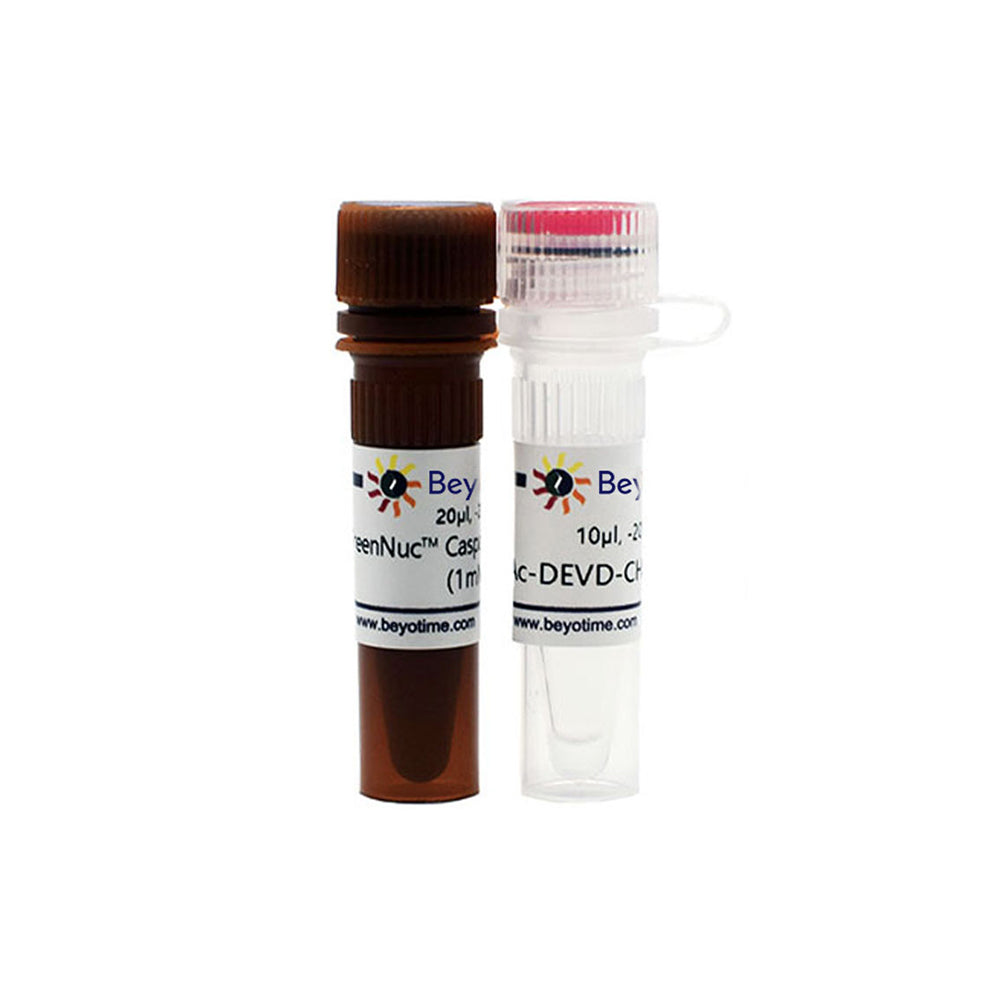 Kit de ensayo de caspasa-3 GreenNuc™ para células vivas, 20-40T