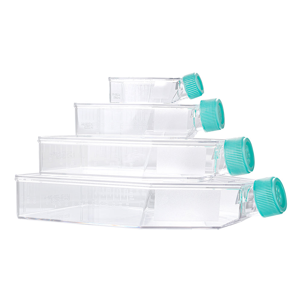 Matraces para cultivo de células y tejidos, 182,0 cm², 600 ml, sin tratamiento, tapa de ventilación, 40 unidades/caja