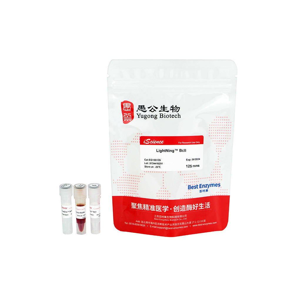 LightNing™ BclI Restriction Enzymes, 125 rxns, 1 rxn/μl