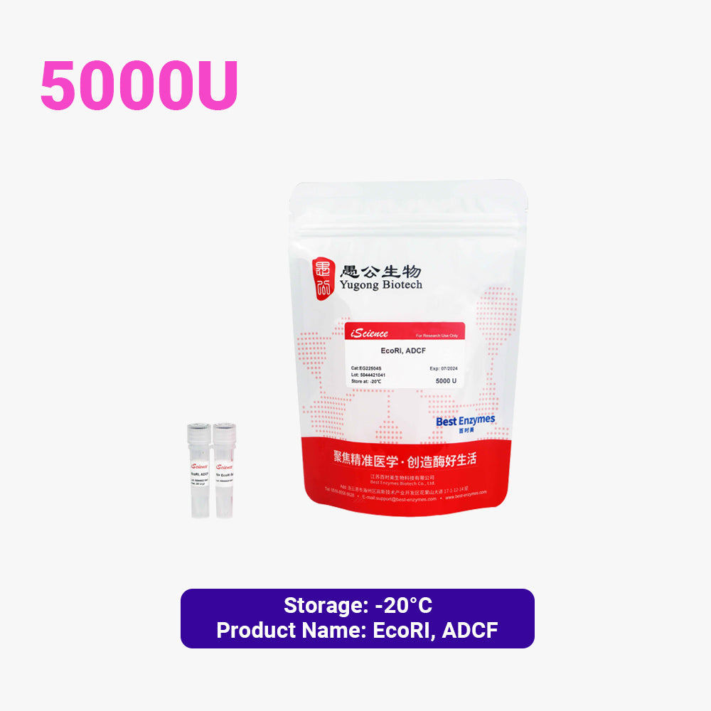 EcoRI, enzimas de restricción ADCF, 5000 U, 20 U/ul
