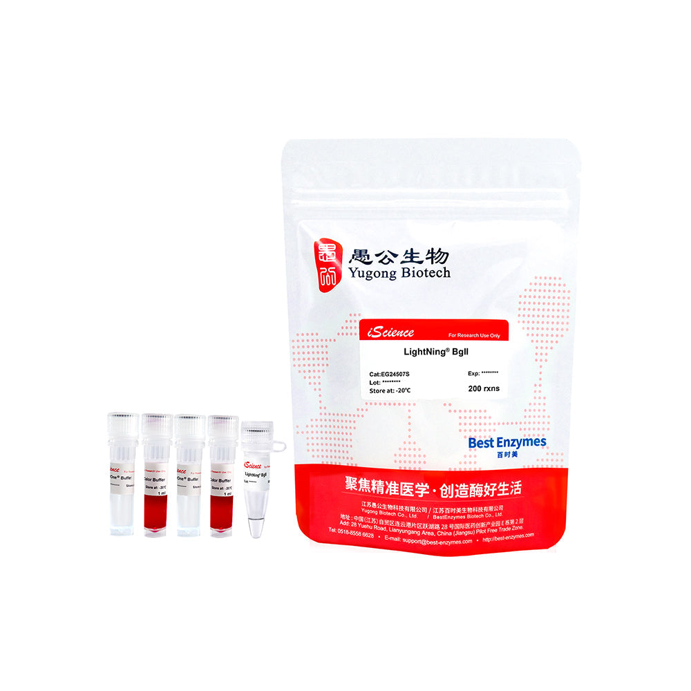 LightNing™ BglI Restriction Enzymes, 200 rxns, 1 rxn/μl