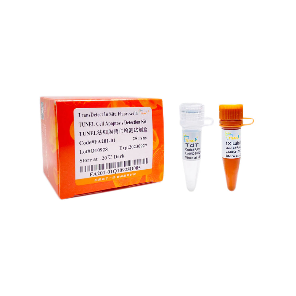 TransDetect® In Situ Fluorescein TUNEL Cell Apoptosis Detection Kit, 25 rxns