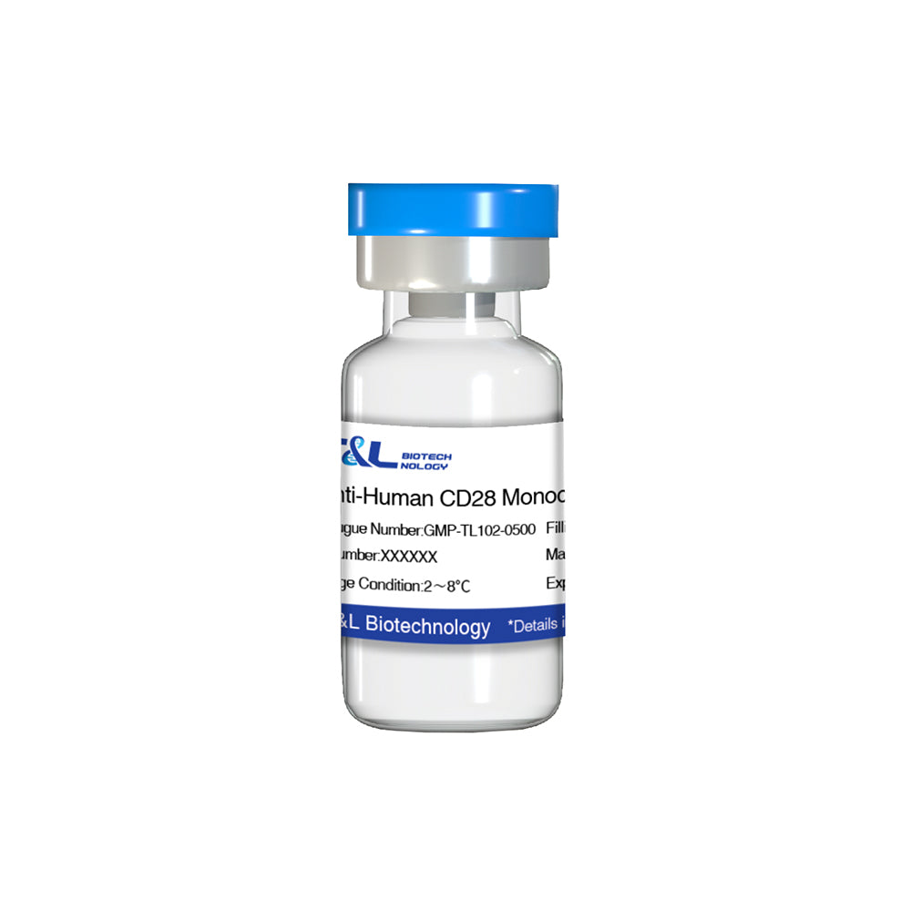 Anti-Human CD28 monoclonal antibody, 500μg