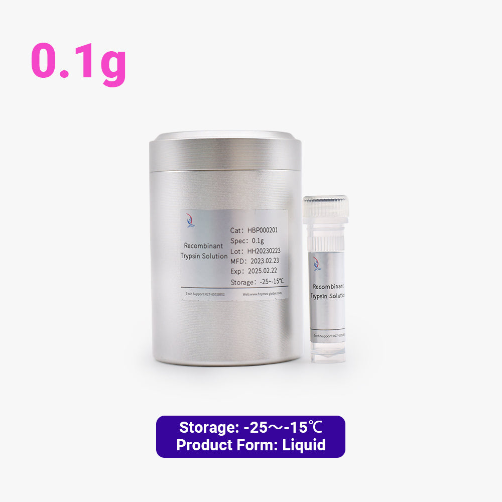 Recombinant Trypsin Solution, 0.1g, 175KU/mL