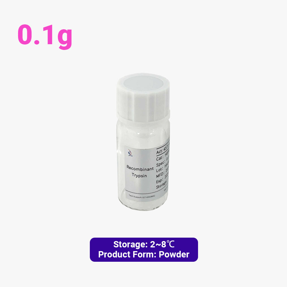Recombinant Trypsin Dry Powder, 0.1g, 2500KU/g