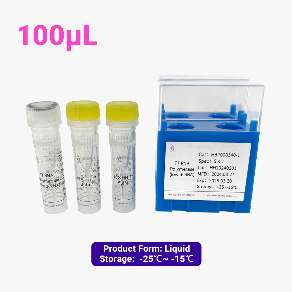 T7 RNA Polymerase(low dsRNA), 100 μL