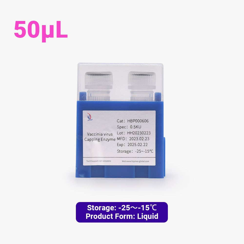 Vaccinia Virus Capping Enzyme, 10 Units/μL Activity, 50 μL