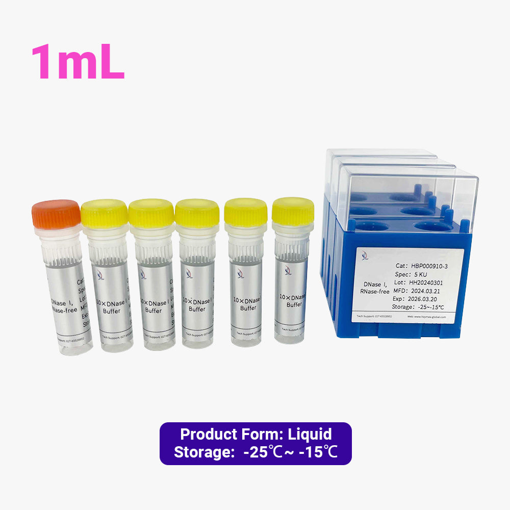 DNase I, 5 Units/μL Activity, 1 mL