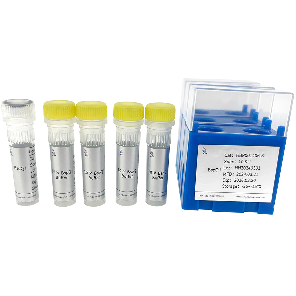 BspQI, 10 Units/μL Activity, 1 mL