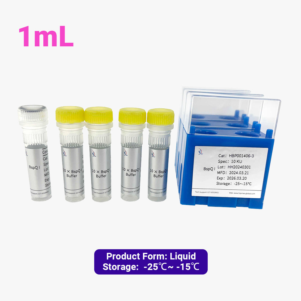 BspQI, 10 Units/μL Activity, 1 mL
