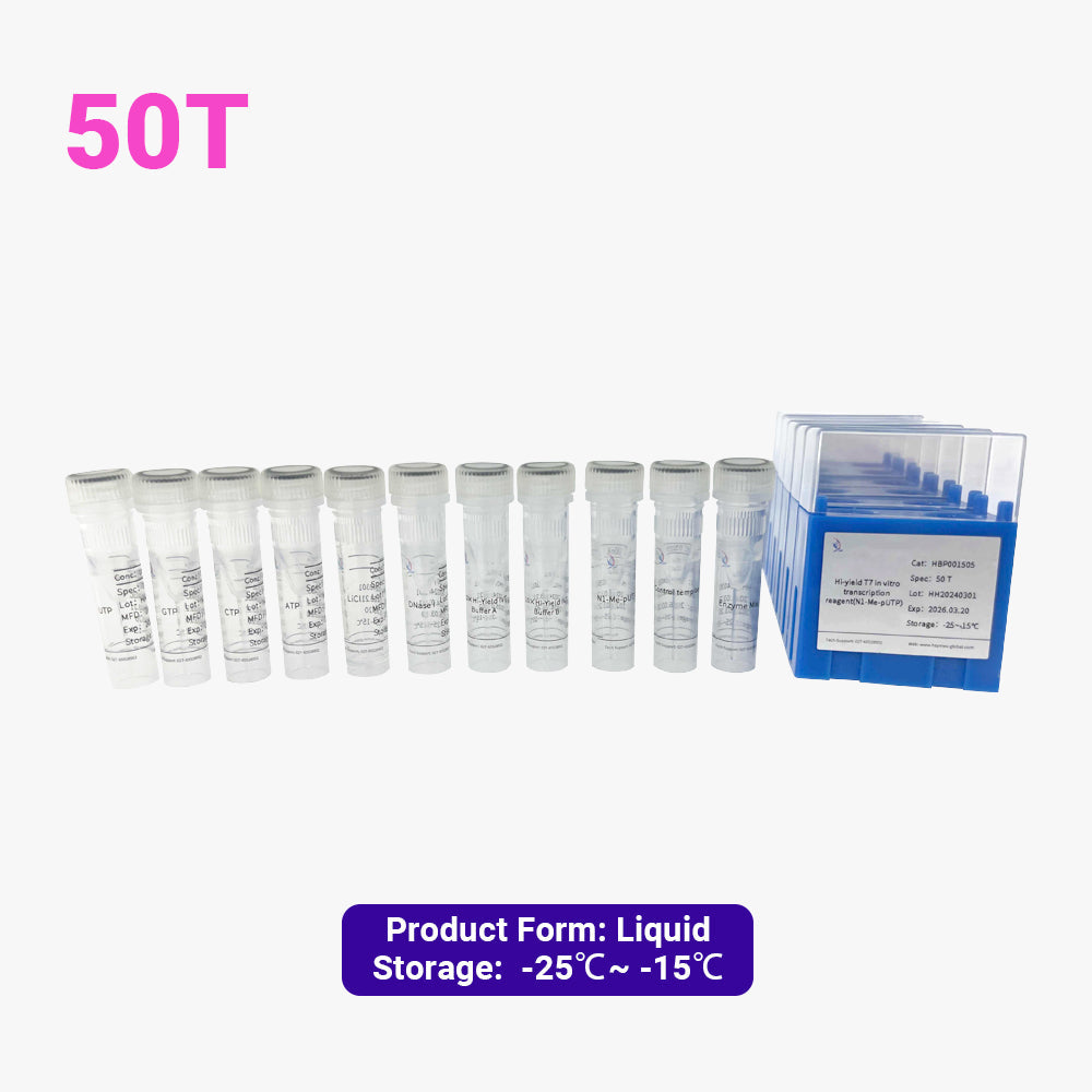 Hi-yield T7 in vitro transcription reagent (N1-Me-pUTP)