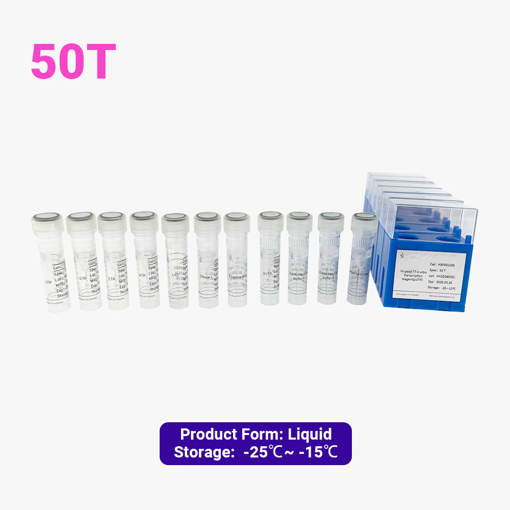 Hi-yield T7 in vitro transcription reagent (pUTP)