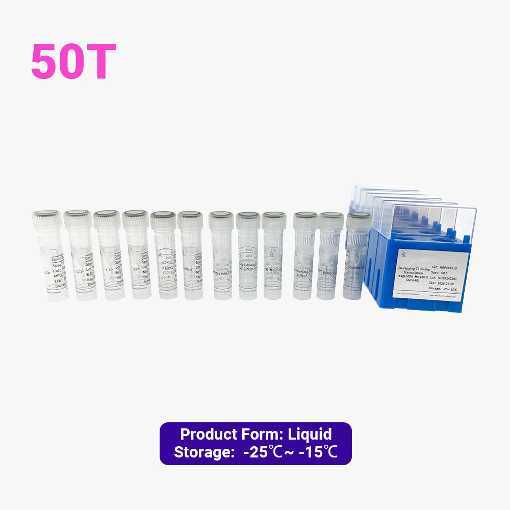 Co-capping T7 in vitro transcription reagent (N1-Me-pUTP，CAP GAG )
