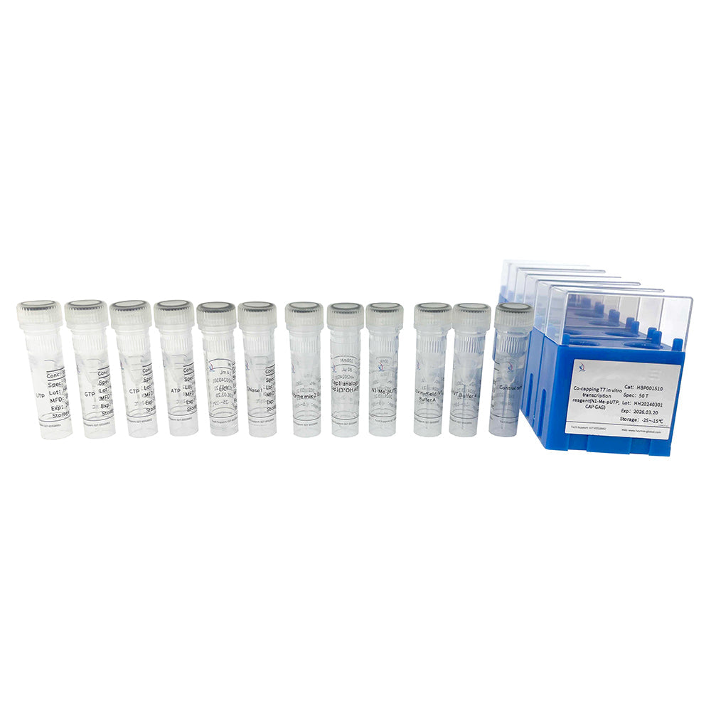 Co-capping T7 in vitro transcription reagent (N1-Me-pUTP，CAP GAG )
