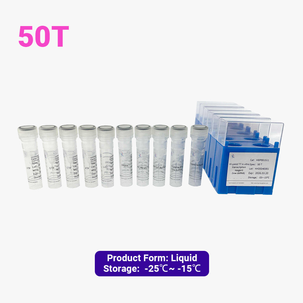 Hi-yield T7 in vitro transcription reagent ( low dsRNA )
