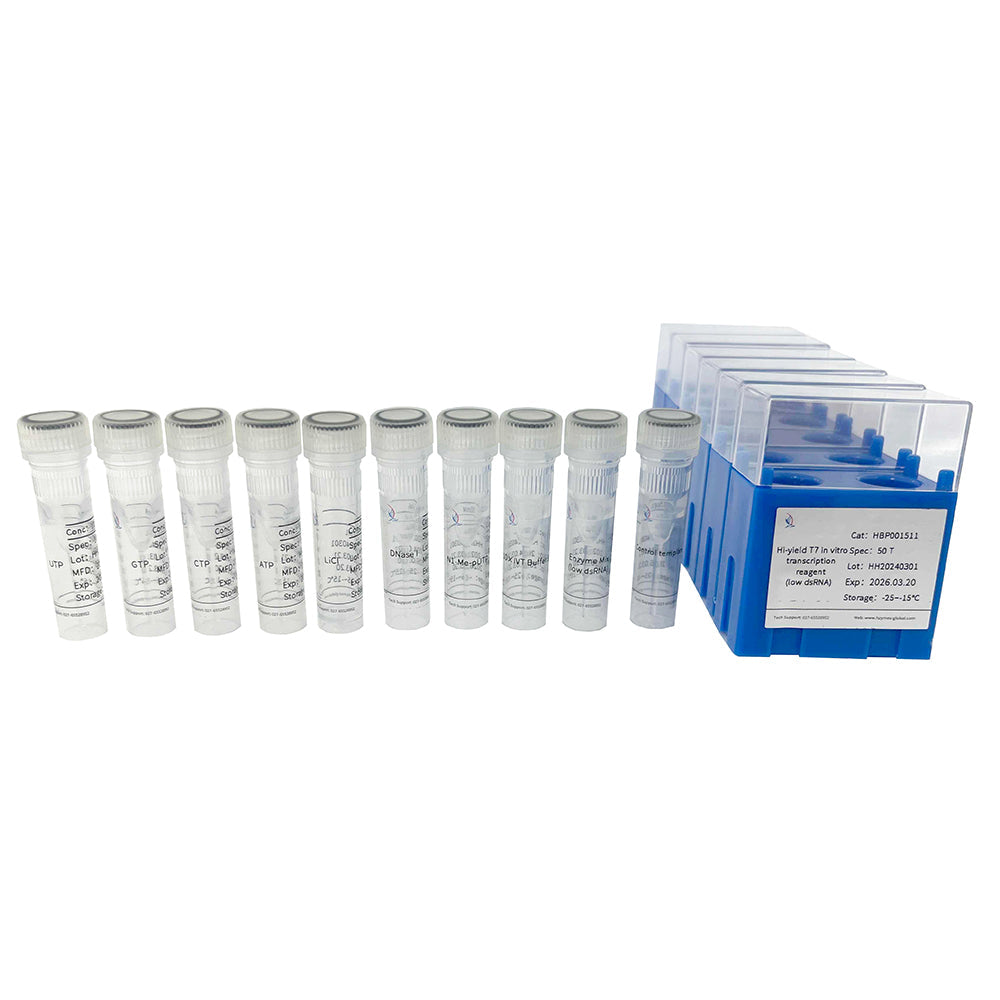 Hi-yield T7 in vitro transcription reagent ( low dsRNA )