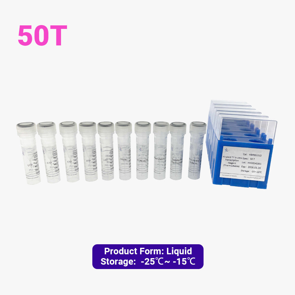 Hi-yield T7 in vitro transcription reagent (Thermostable )