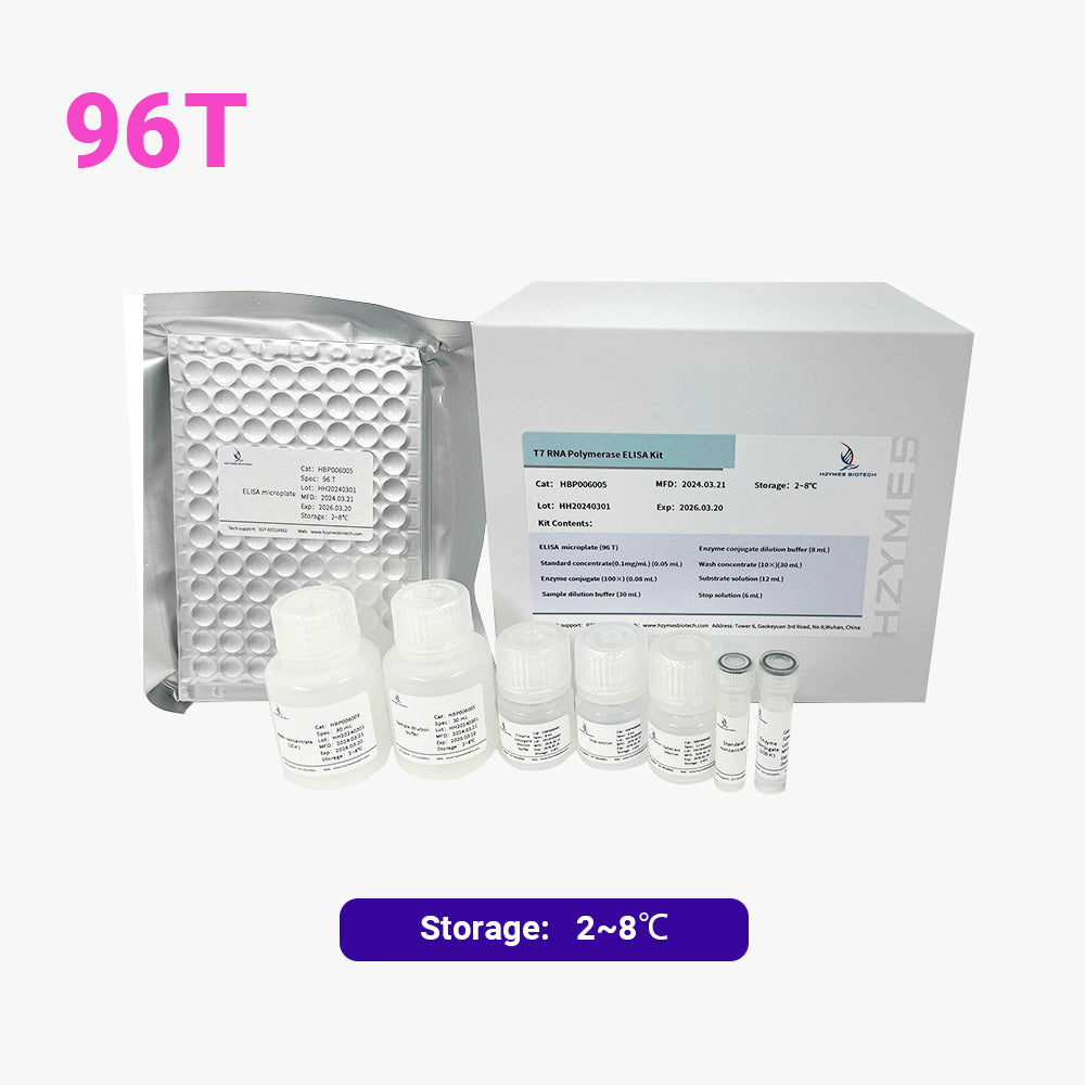 Kit ELISA de ARN polimerasa T7, 96 pruebas