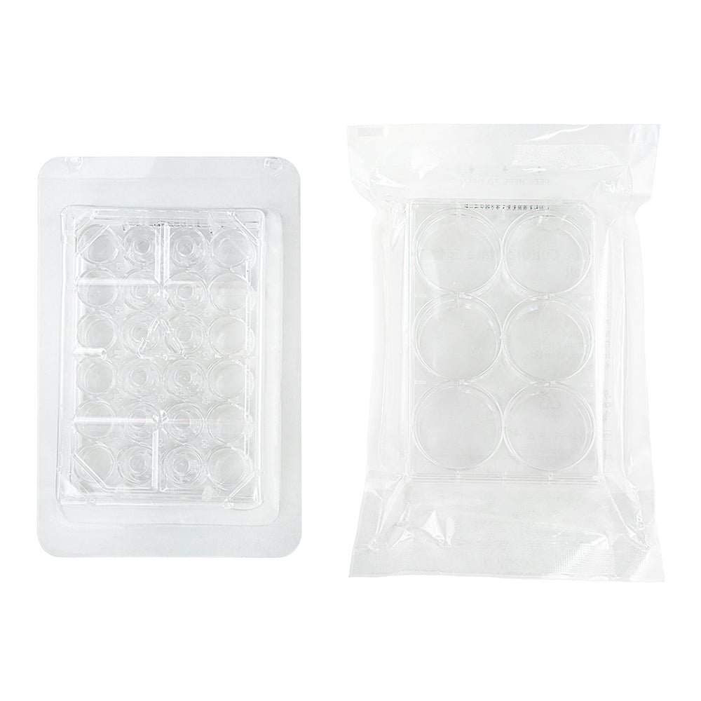 24 Well Cell Culture Plates, TC Treated, Flat Bottom, Sterile, PS