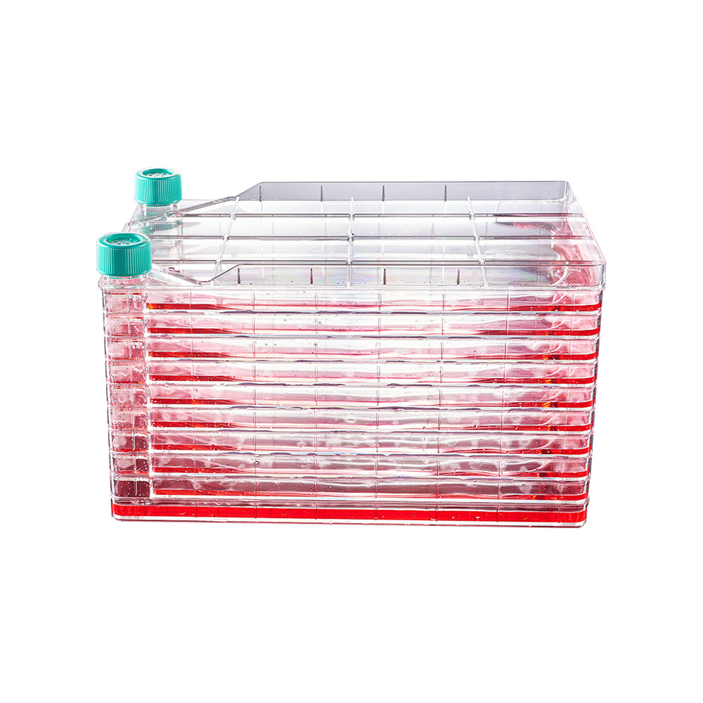 Multi-Layer Cell Culture System, 10 layers, Culture area 6416 cm², TC-treated, Sterile, 2piece(s)/case