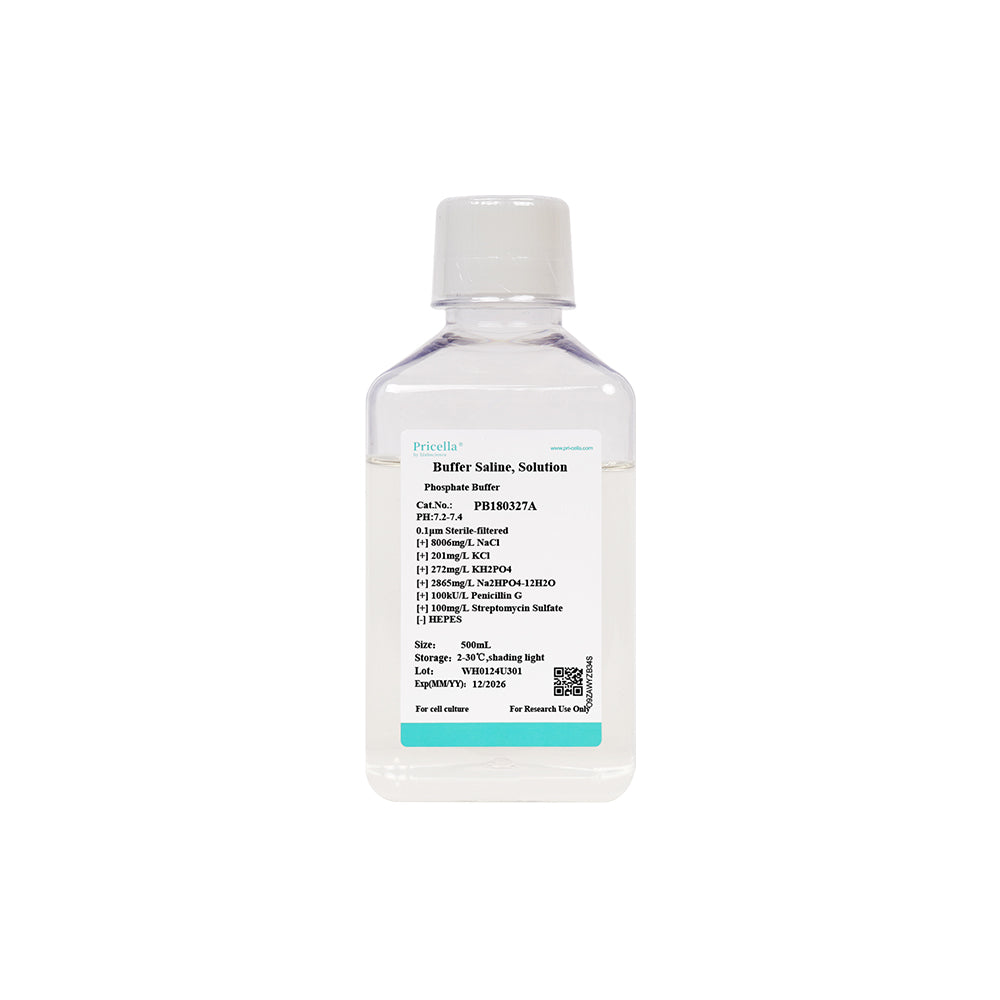 Tampón de fosfato (PBS, 1 ×), con P/S, 500 ml