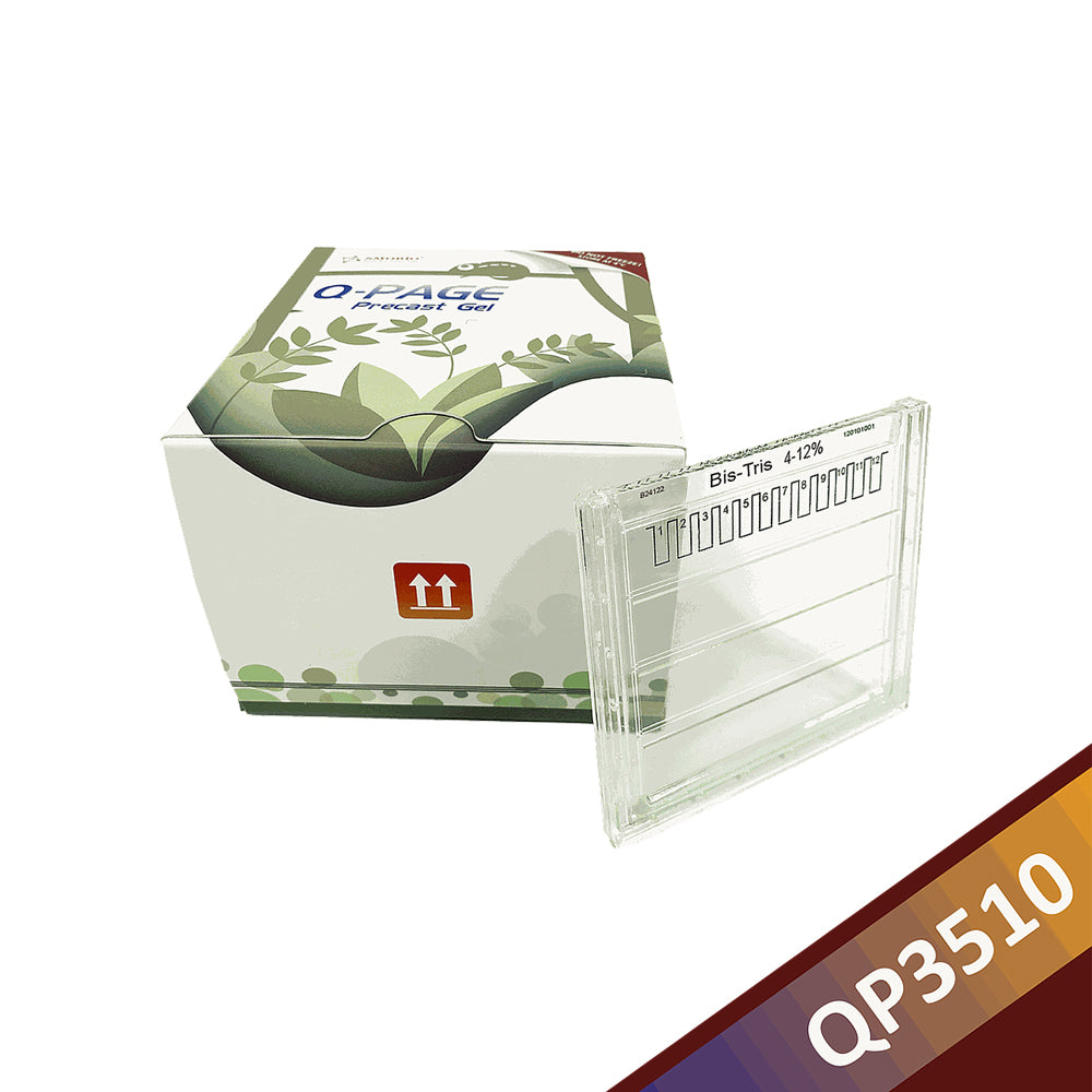 Q-PAGE™ Bis-Tris Precast Gel (Midi, 12 wells, 4-12%), 10 gels