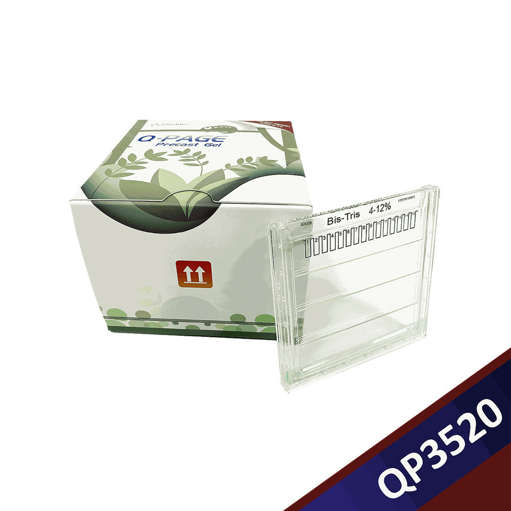 Q-PAGE™ Bis-Tris Precast Gel (Midi, 15 wells, 4-12%), 10 gels