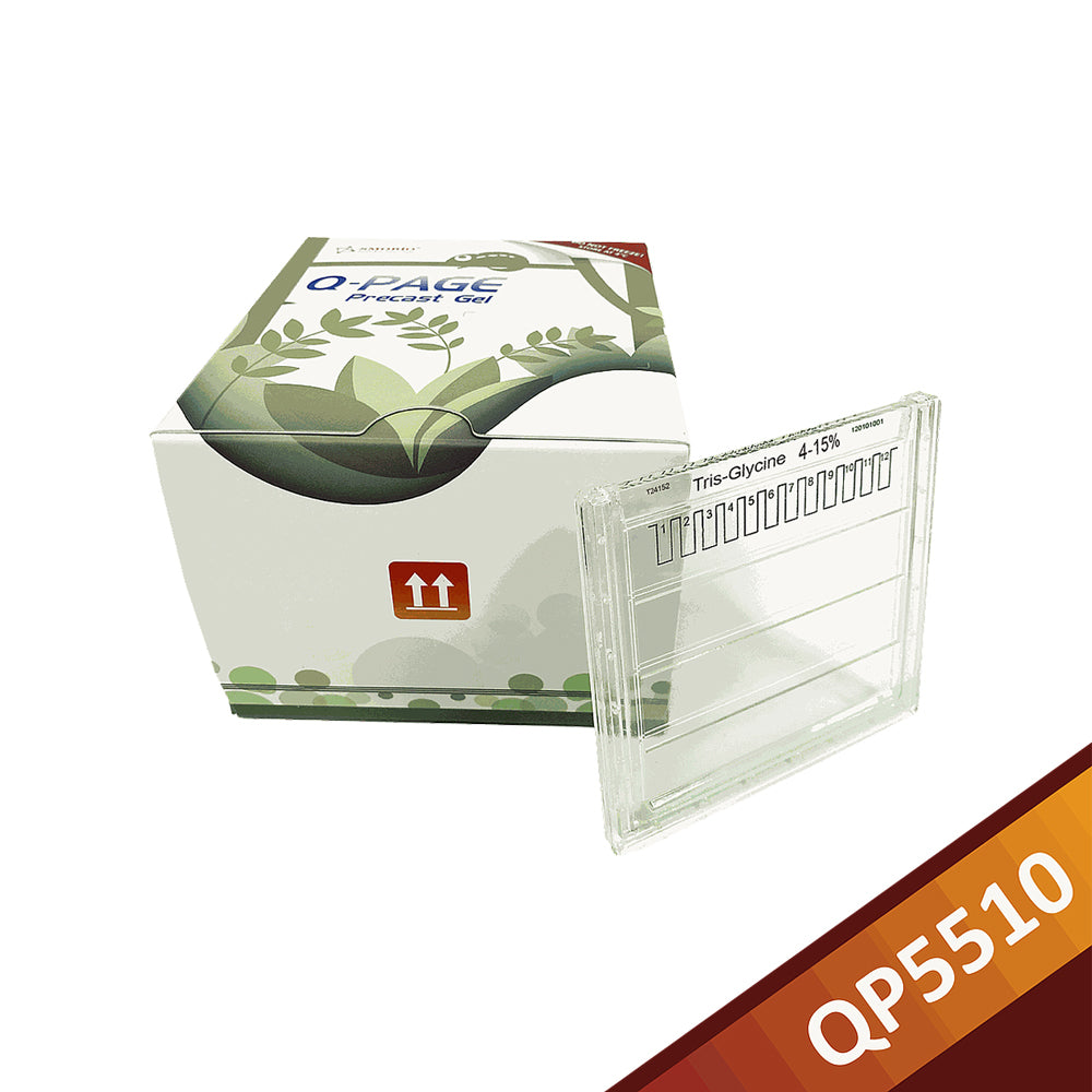 Q-PAGE™ TGN Precast Gel (Midi, 12 wells, 4-15%), 10 gels