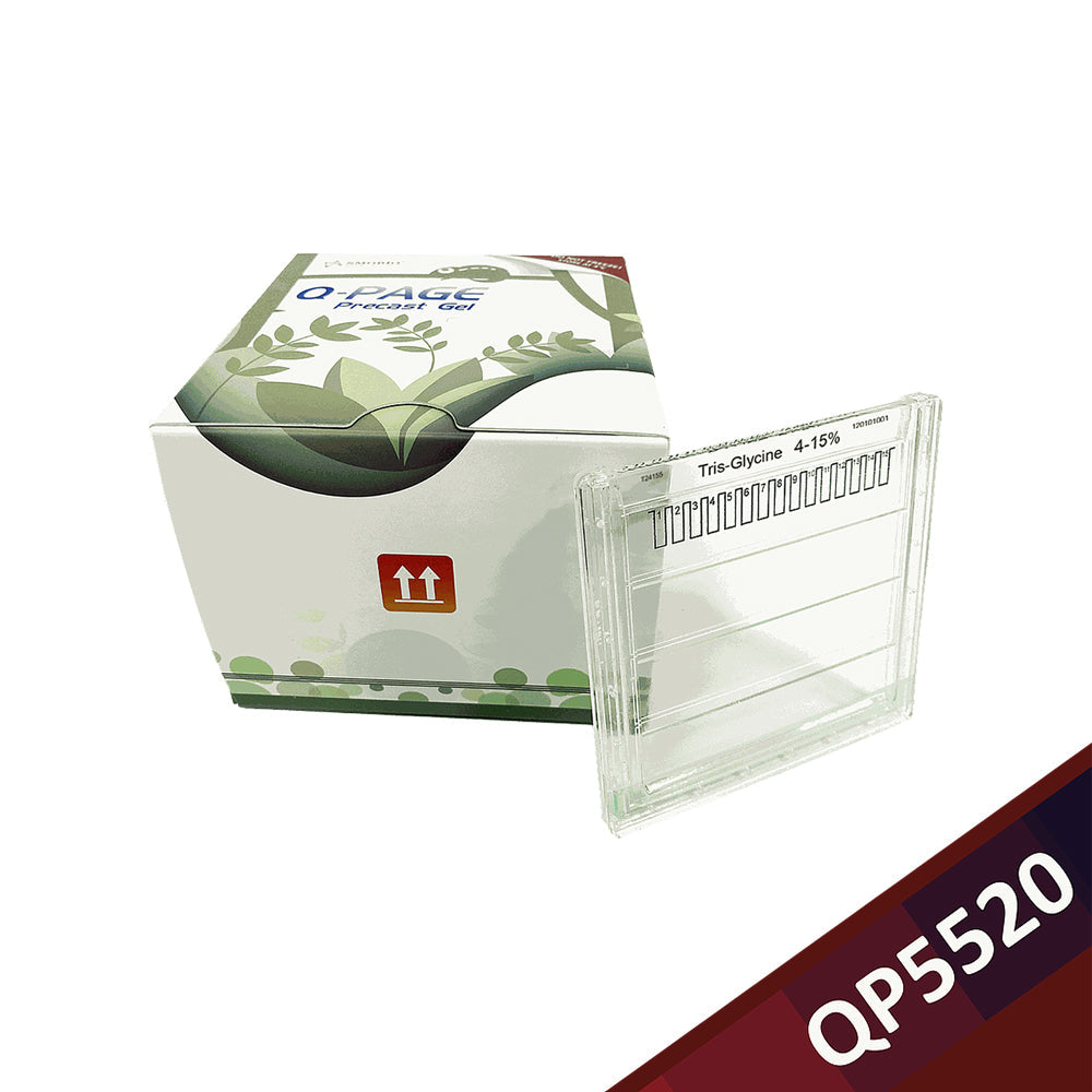 Q-PAGE™ TGN Precast Gel (Midi, 15 wells, 4-15%), 10 gels