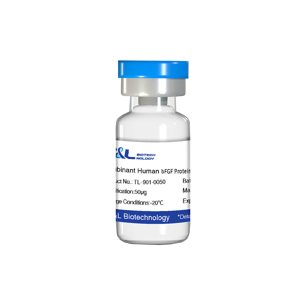 Recombinant Human bFGF Protein, 10μg