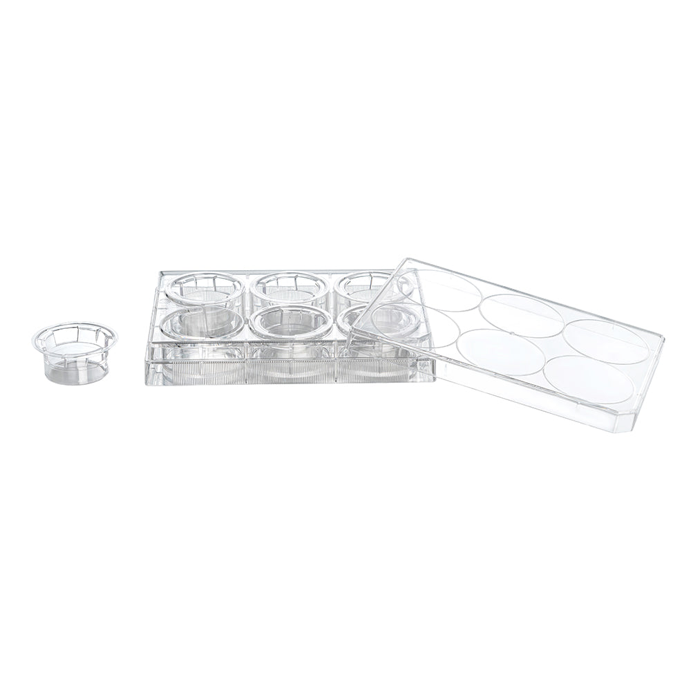 Tissue Culture Plate Inserts, 0.1  μm, Membrane diameter24mm,6well,PC membrane,TC-treated,Sterile, 24piece(s)/case