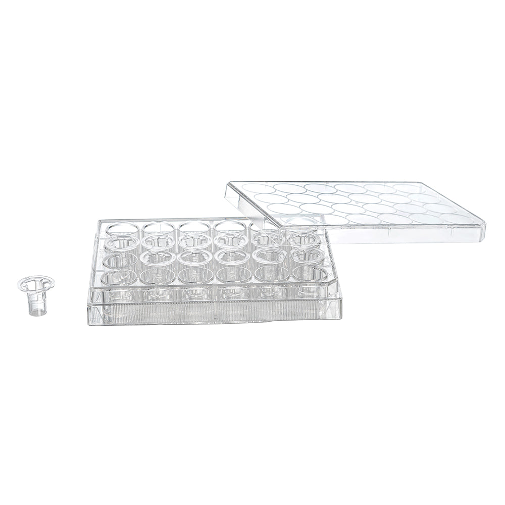 Tissue Culture Plate Inserts, 0.1  μm, Membrane diameter6.5mm,24well,PC membrane,TC-treated,Sterile, 48piece(s)/case