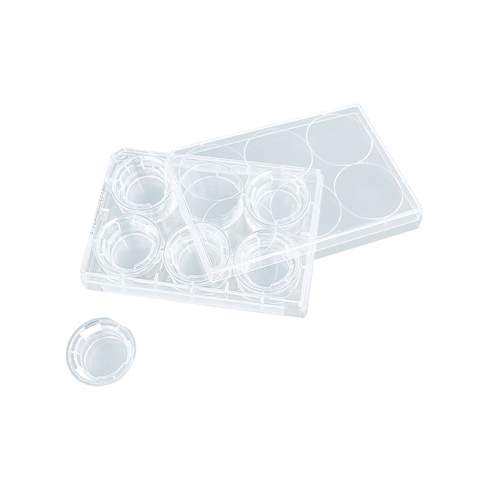 Tissue Culture Plate Inserts, 0.4μm, Membrane diameter24mm,6well,PET membrane(transparent),TC-treated,Sterile, 24piece(s)/case