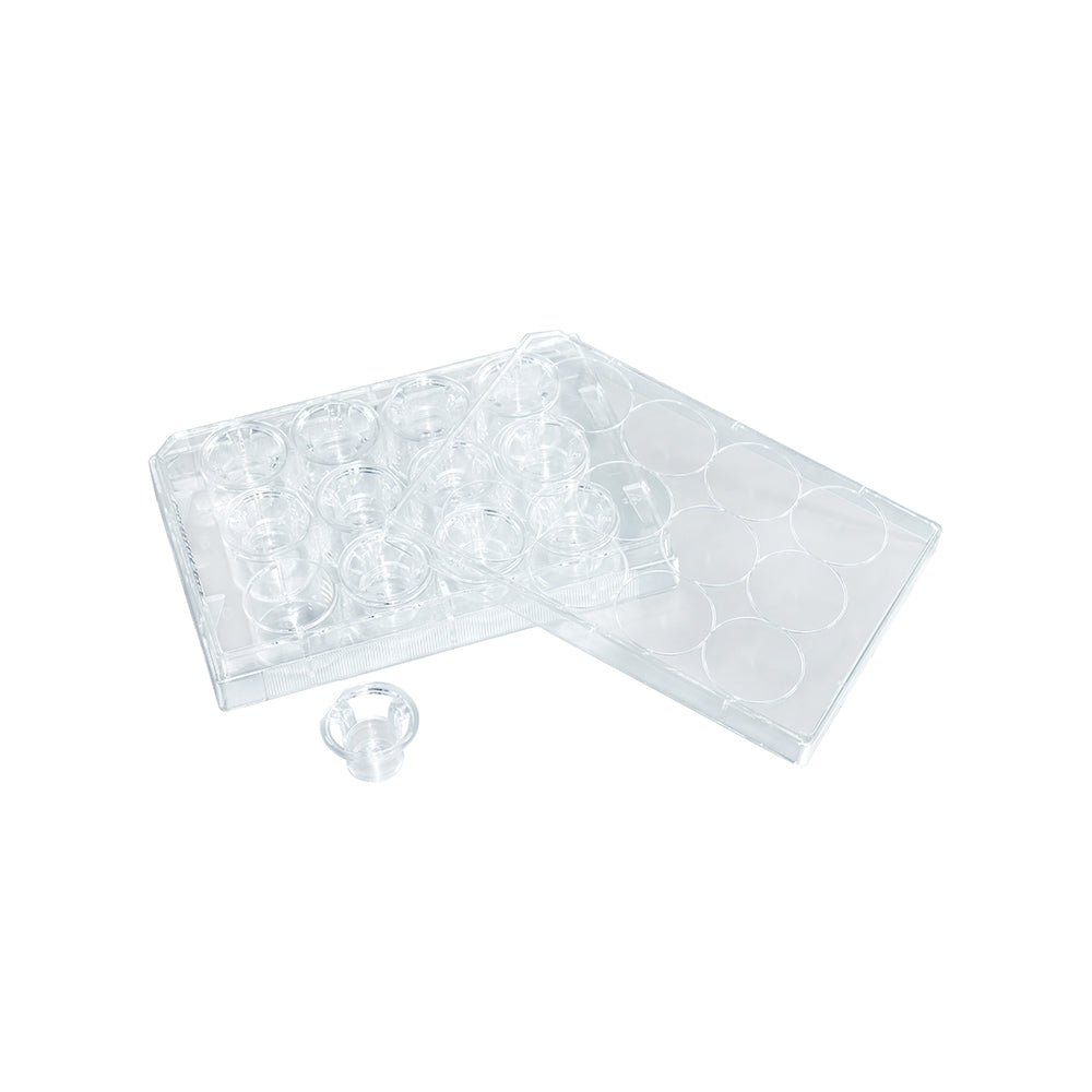 Tissue Culture Plate Inserts, 0.4μm, Membrane diameter12mm,12well,PET membrane(transparent),TC-treated,Sterile, 48piece(s)/case