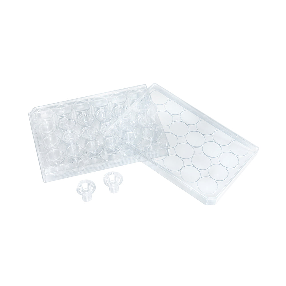 Tissue Culture Plate Inserts, 0.1  μm, Membrane diameter6.5mm,24well,PET membrane(non-tranparent),TC-treated,Sterile, 48piece(s)/case