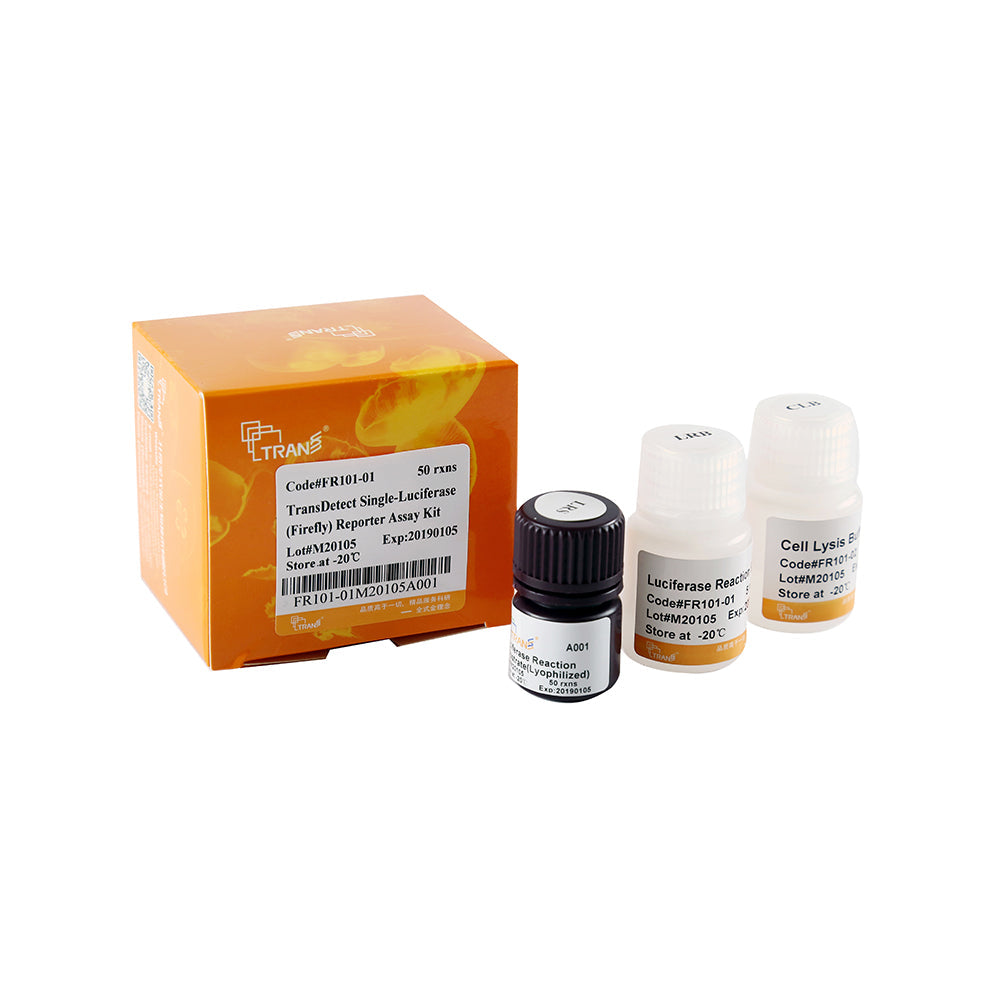 Kit de ensayo de reportero de luciferasa única (luciérnaga) TransDetect® - 50 reacciones