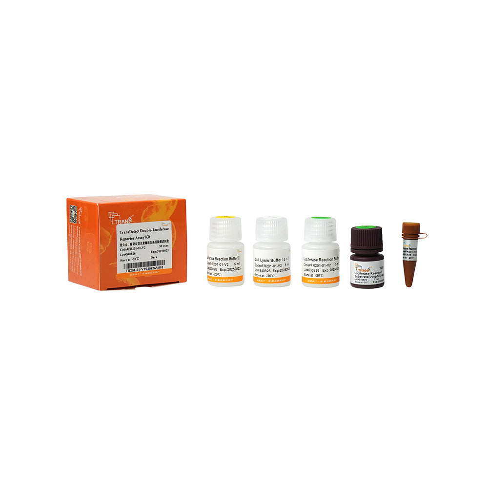 Kit de ensayo de reportero de doble luciferasa TransDetect® - 50 reacciones