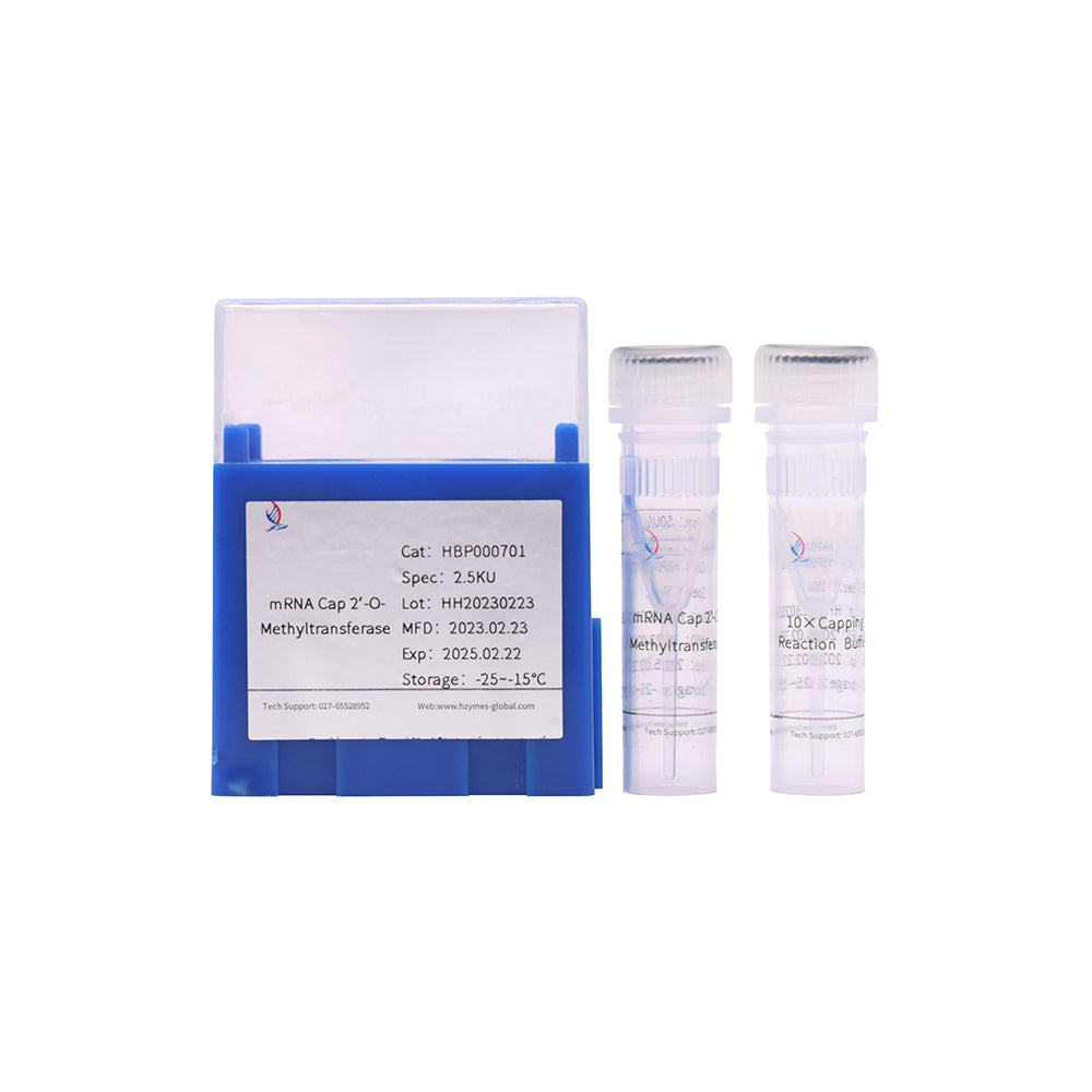 mRNA Cap2'-O-Methyltransferase, 50 Units/μL Activity, 10 mL